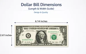 dollar-bill-dimension
