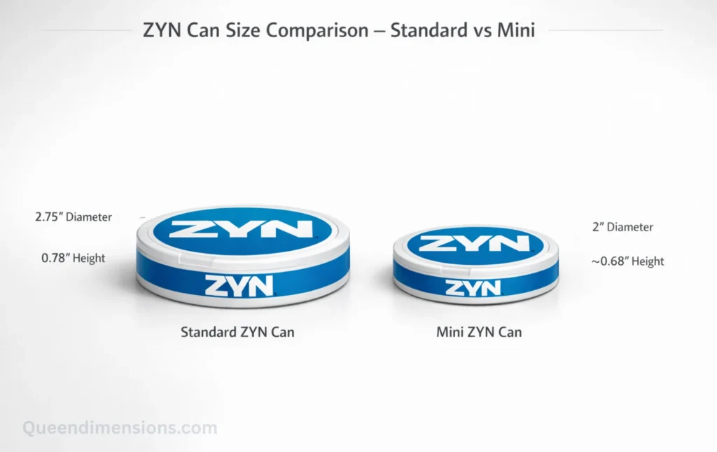 zyn-can-dimensions-comparision