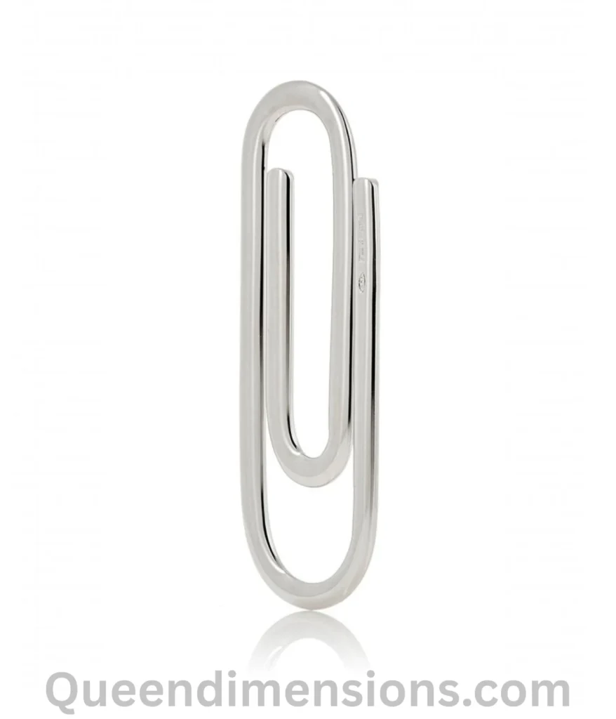 Paperclips-100-grams