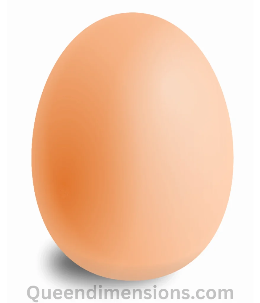egg-2-oz