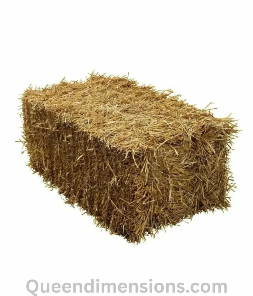 hey-bale-50-lbs