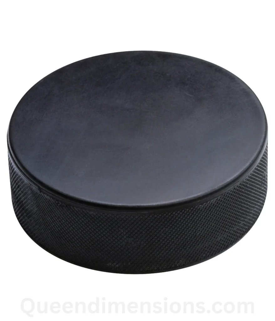 hockey-puck-2-feet-length