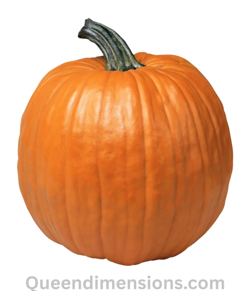 pumpkin-10-lbs