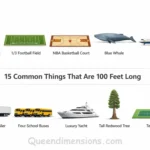 things-that-are-100-feet-long