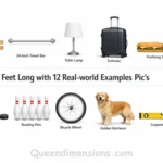 things-that-are-2-feet-long