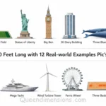 things-that-are-300-feet-long