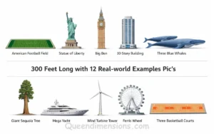things-that-are-300-feet-long