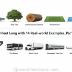 things-that-are-80-feet-long