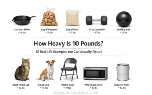 things-that-are-weight-10-lbs