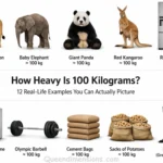 things-that-are-weight-100-kilograms