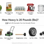 things-that-are-weight-20-lbs