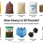things-that-are-weight-50-lbs