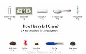 things-that-are-weigth-1-gram