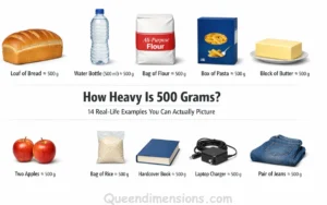 things-that-are-weigth-500-gram