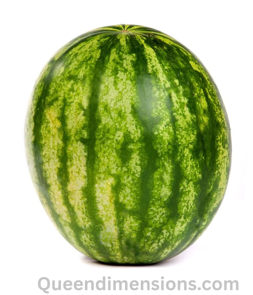 watermelon-10-kg