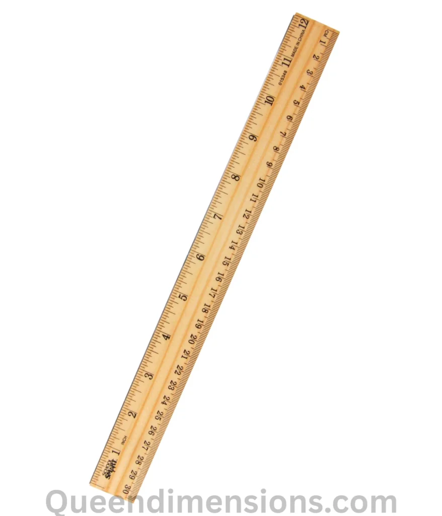 12-inches-ruler