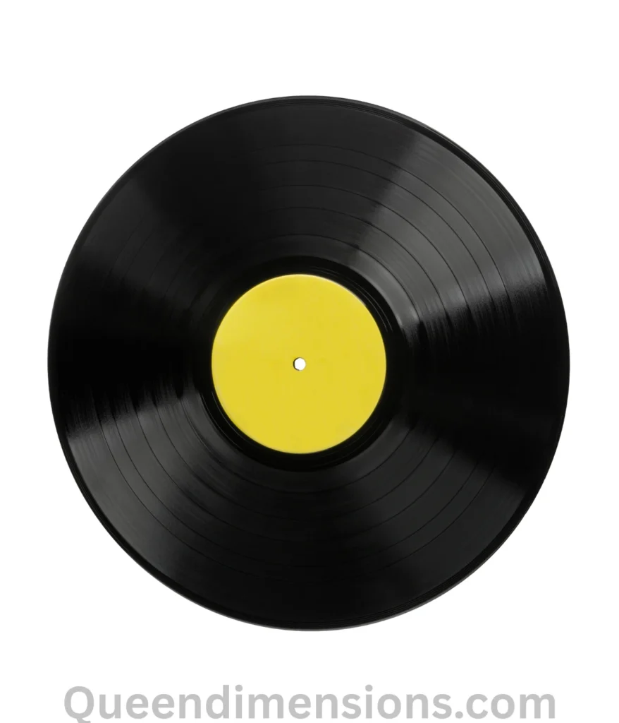 12-inches-vinyl-record-lp