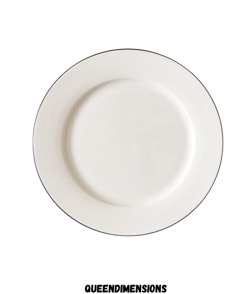 dinner-plate-9-inches