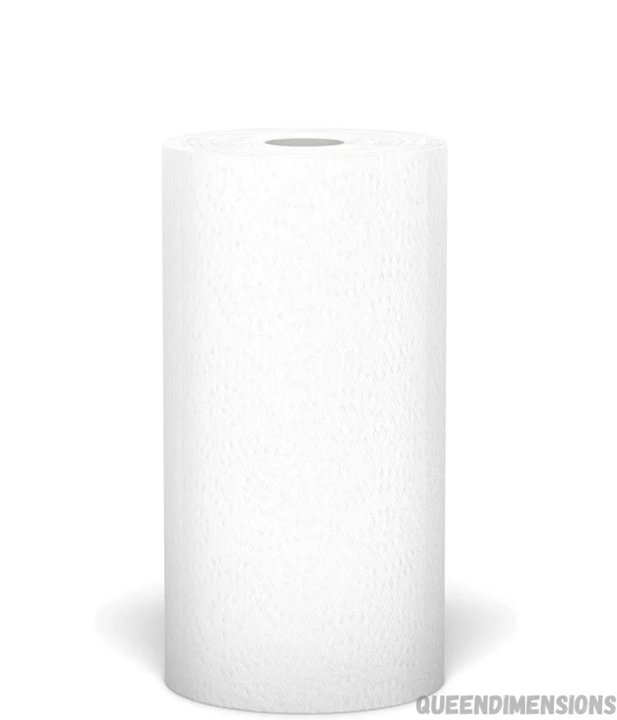 paper-towel-roll-10-inches