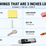 things-are-3-inches-long