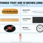 things-that-are-12-inches-long