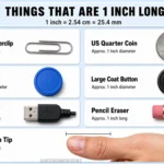 things-are-1-inch-long