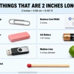 things-are-2-inches-long