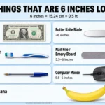 things-are-6-inches-long