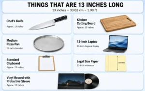 things-that-are-13-inches-long